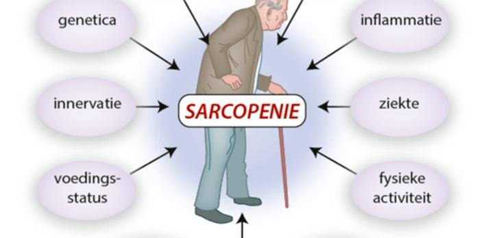 Sarcopenie, etiologie en interventies