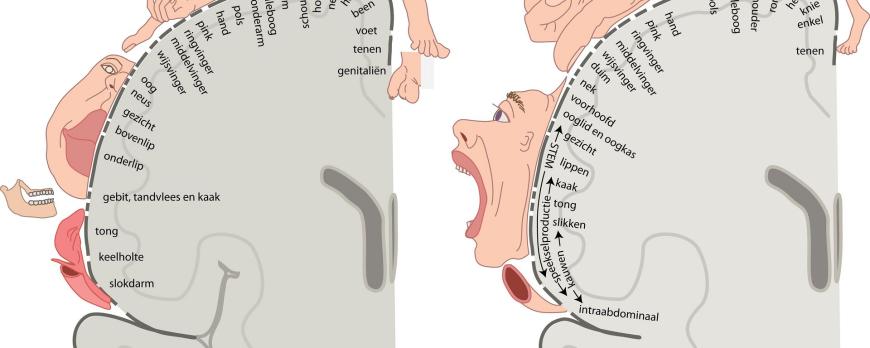 Neuromodulatie: het verhaal van rTMS