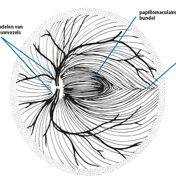 Het oog: neuro-oftalmologie in beeld