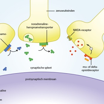 Perioperatieve analgesie met methadon 