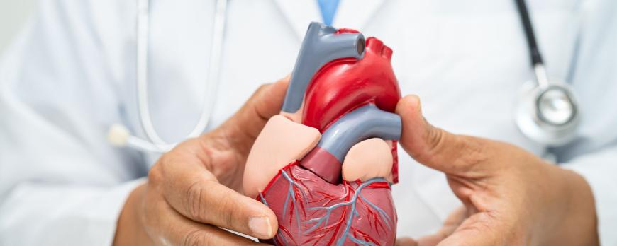 Medicamenteuze behandeling van hartfalen in de eerste lijn 