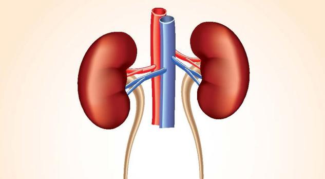 Urologie vrouw