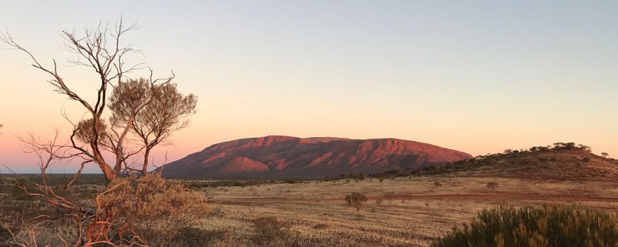 Anesthesiologie in Australië