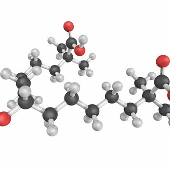 Inflammatie bij coronair lijden: van begrip naar behandeling