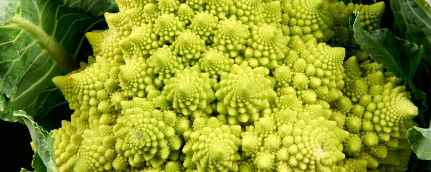 Hoe natuur bijdraagt aan psychisch welbevinden