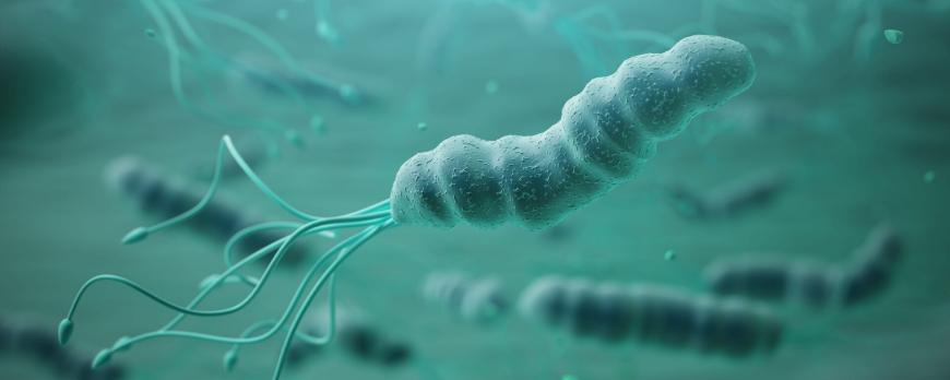Helicobacter pylori-infectie bij kinderen