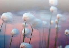 Palliatief redeneren: misselijkheid en braken