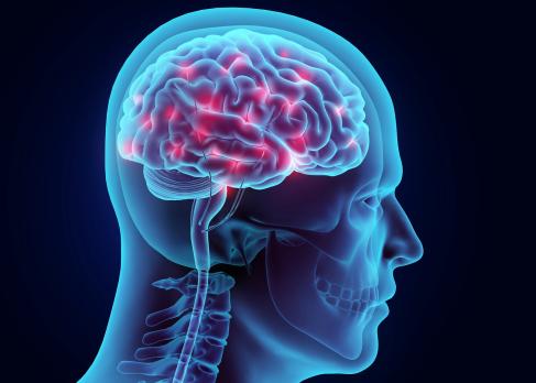 Kunstmatige intelligentie ondersteunt visuele EEG-analyse