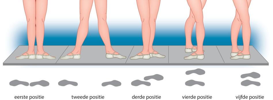 Orthopedisch-chirurgische behandeling bij balletletsels van de onderste extremiteit bij professionele dansers (BD)