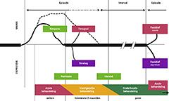 Bipolaire stoornissen: een overzicht