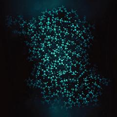 Syndroom van Prader-Willi