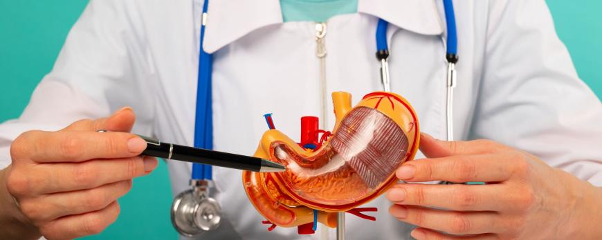 Geneesmiddelgebruik bij obesitas en na bariatrische chirurgie