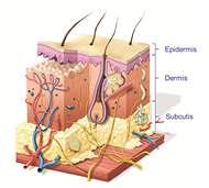 Casus basaalcelcarcinoom