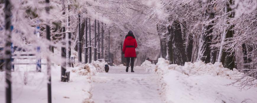 Toepassing van een raamwerk voor motorisch leren in de fysiotherapiepraktijk (VI)