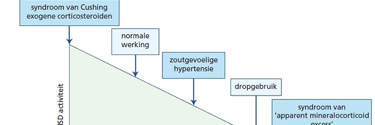 Hypertensie en hypokaliëmie door glycyrrhizine-gemedieerd pseudohyperaldosteronisme 