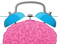Stress, stresshormonen en het brein