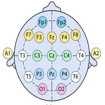 Het elektro-encefalogram (eeg): weet wat je meet 