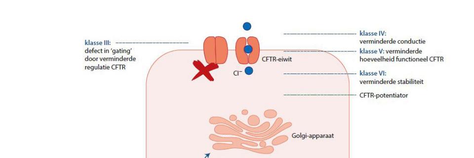 Lumacaftor/ivacaftor (Orkambi®): nieuw therapeutisch middel bij cystische fibrose