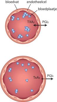 Bloedingsrisico als bijwerking van icosapent-ethyl