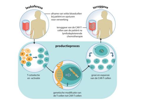 Toxiciteit van CAR-T-celtherapie