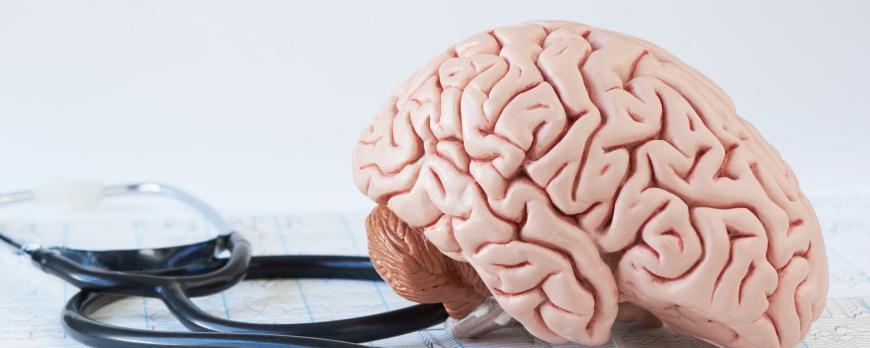 Epilepsiesyndromen op de kinderleeftijd