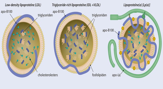 De toekomst in lipidenbehandeling