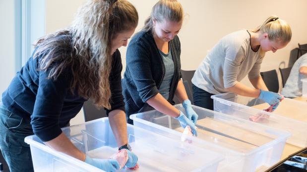 Verslag themadag 2019: De anatomische les