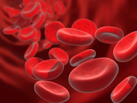 Apixaban superieur in bloedingsrisico bij behandeling veneuze trombo-embolie