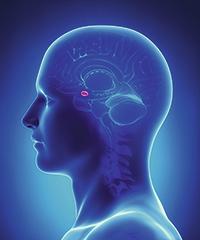 Positieve psychologie in de huisartsenpraktijk