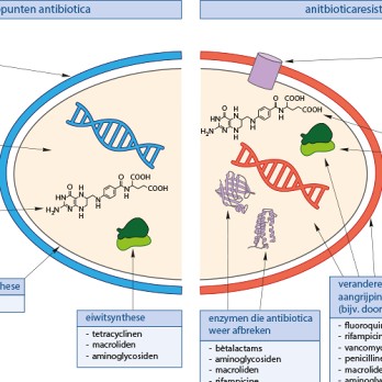 Antibiotische resistentie in de kliniek 