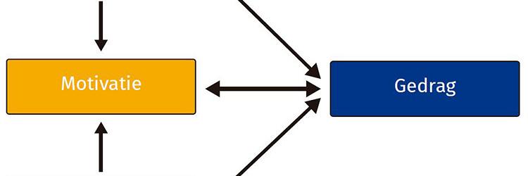 Beïnvloeden van sedentair gedrag bij mensen na een beroerte