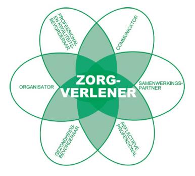 Positieve Gezondheid in de GGZ
