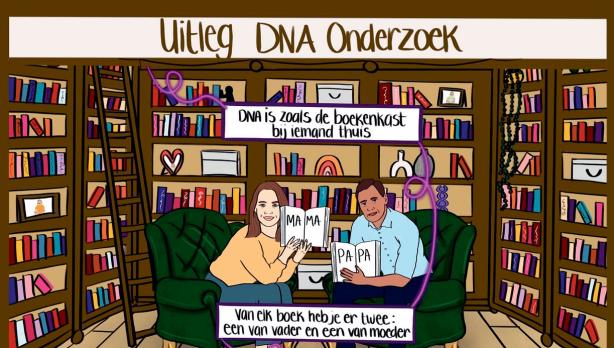 Infographic uitleg DNA onderzoek