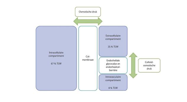 Fysiologische overwegingen bij het perioperatief gebruik van kristalloïden en colloïden 