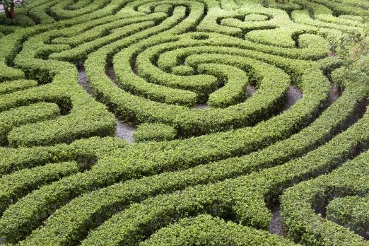 Betrouwbaarheid van diagnostiek - Het klinisch oordeel en gebruik van instrumenten