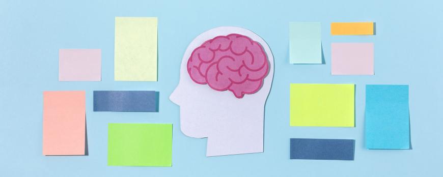 Cognitieve screening: van bedside tot in de spreekkamer