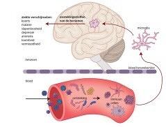 Functieverlies als gevolg van een ziekenhuisopname
