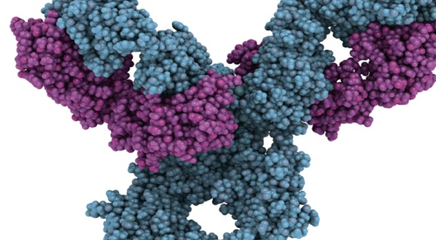 Biologische geneesmiddelen en biosimilars (0,5 StiPCO-punt)