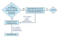 Een peuter met recidiverende rabdomyolyse