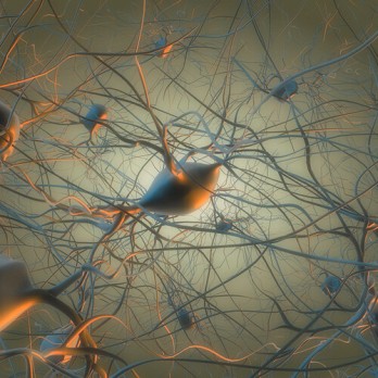 Radiologische beeldvorming van trigeminusneuralgie