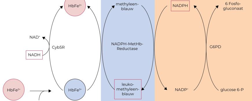 Methemoglobinemie door het gebruik van lidocaïne/prilocaïnecrème (EMLA)