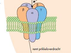 Benzodiazepinen