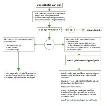 Pijn door opioïden, reden voor palliatieve sedatie?