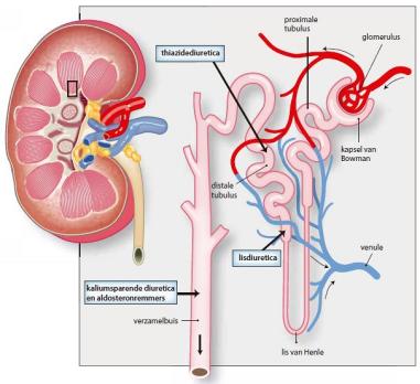 Diuretica
