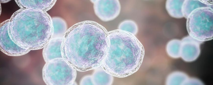 Vasopressoren bij shock – een praktische aanpak
