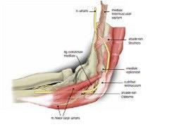 Neurodynamica is essentieel in moderne musculoskeletale fysiotherapie