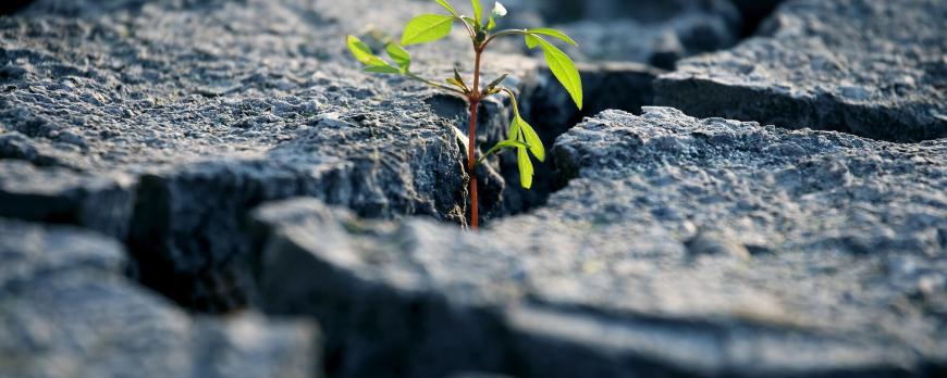 Klimaatverandering en andere invloeden op het milieu: kansen in duurzame zorg
