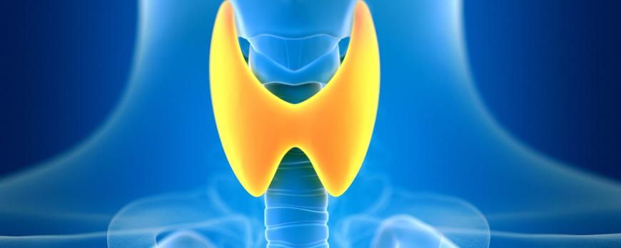 Neurologische manifestaties van schildklierdisfunctie