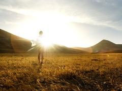 Oplossingsgericht werken in de GGZ