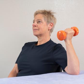 Rotator cuffgerelateerde schouderpijn: een overzicht om door de bomen het bos weer te zien (BD, AF)